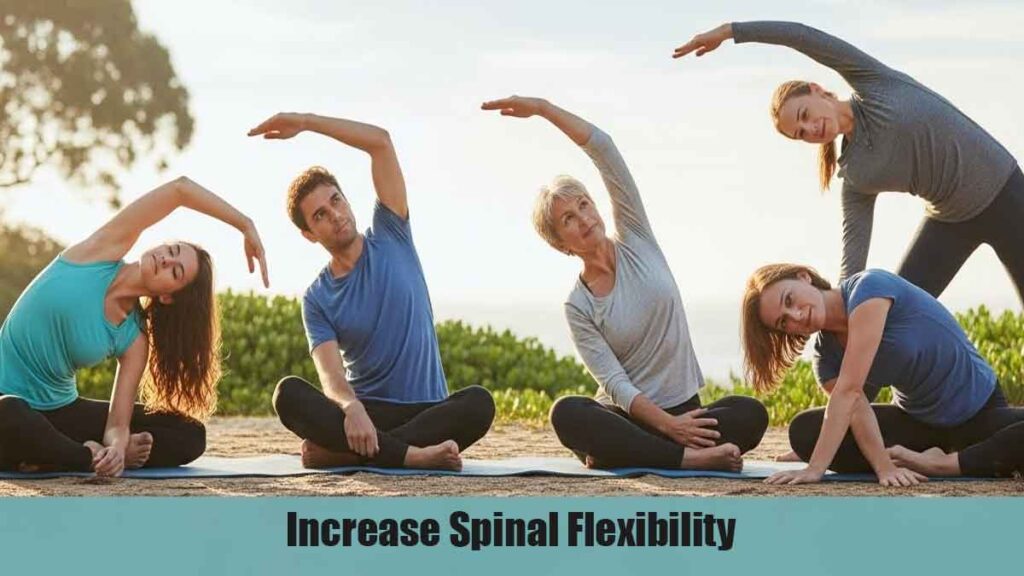 Increase Spinal Flexibility: 4 Gentle Moves for a Healthy Back