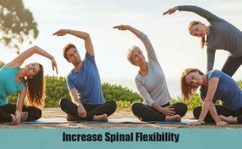 Increase Spinal Flexibility: 4 Gentle Moves for a Healthy Back